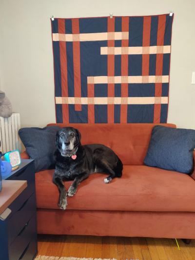 intersection-quilt-with-dog.jpg
